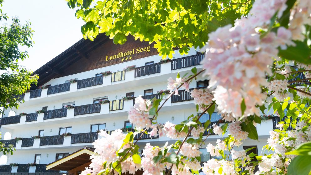 Hotel Frühling